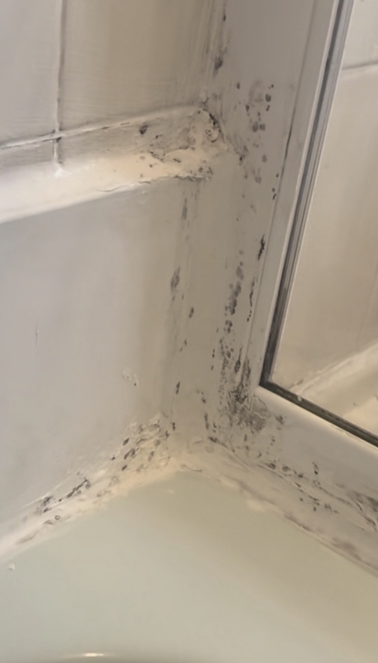 Blackened, mould-stained silicone in the corner of a shower enclosure before resealing